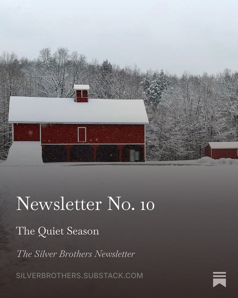 The Silver Brothers Newsletter No. 10 January 2025
