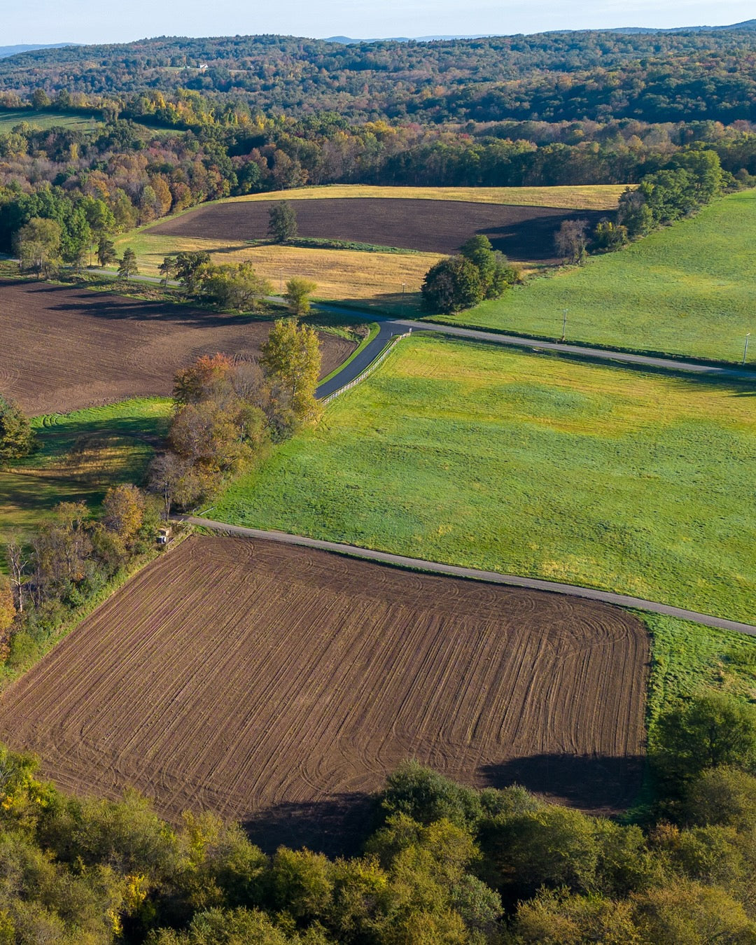 An aerial view of lush green farmland with forests on the horizon