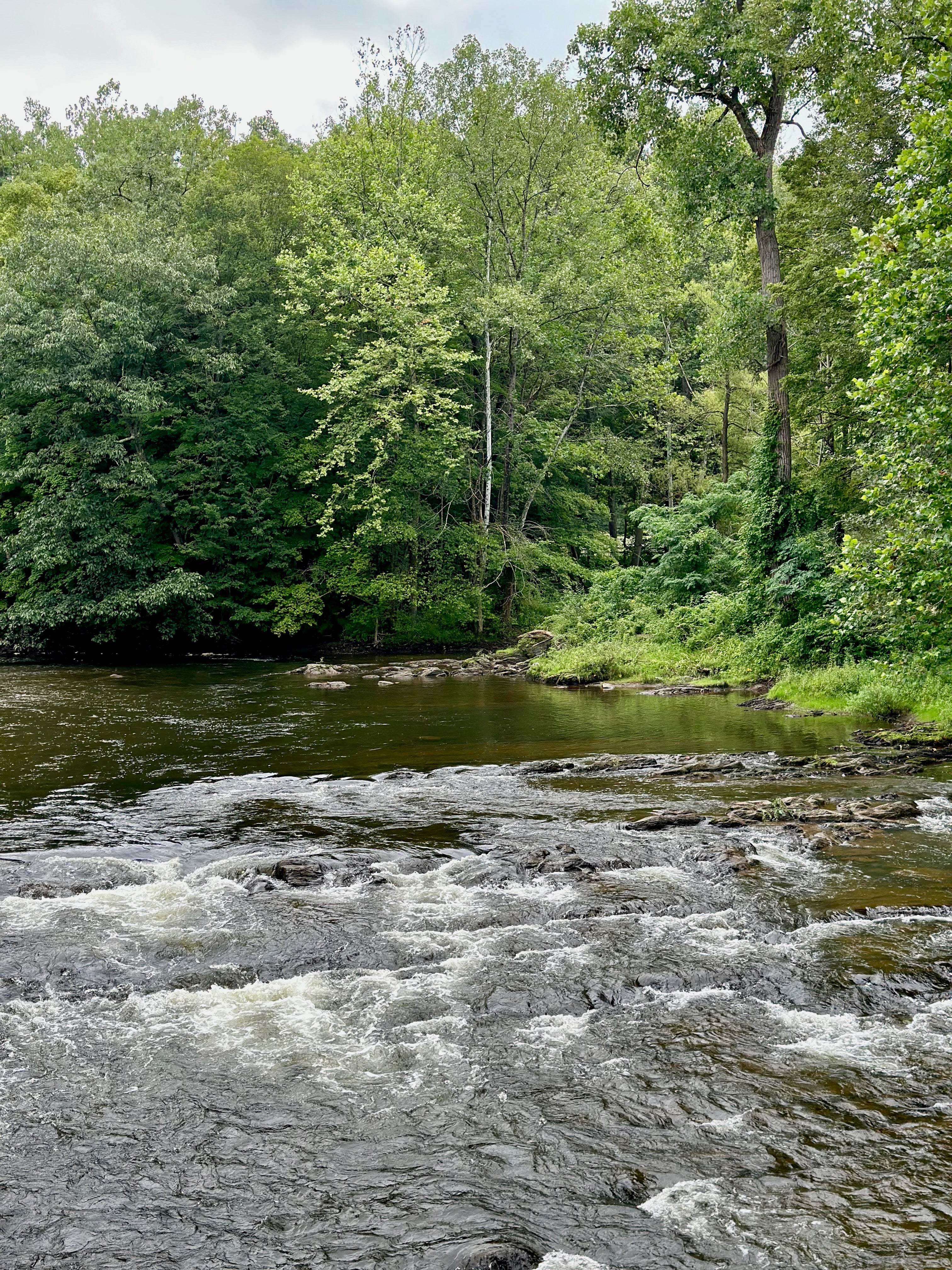 A flowing river